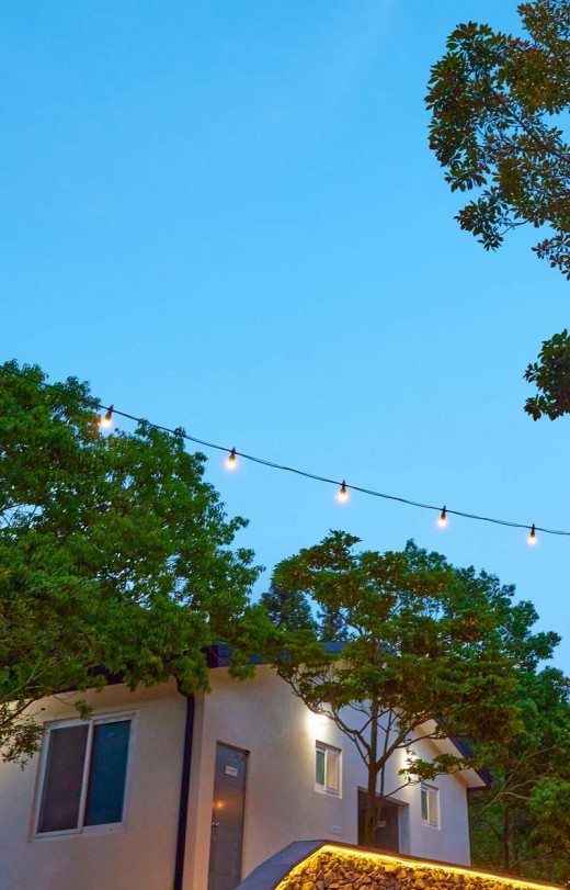 6월의 카멜리아 힐즈