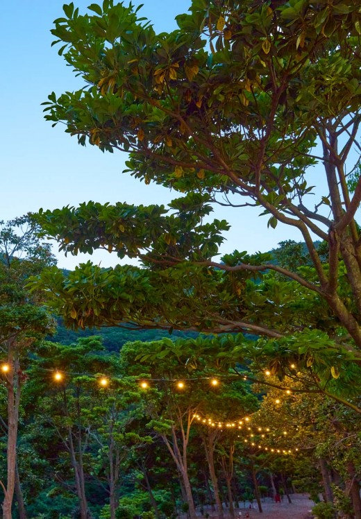 숲 속에서 불빛 아래를 거니는 시간