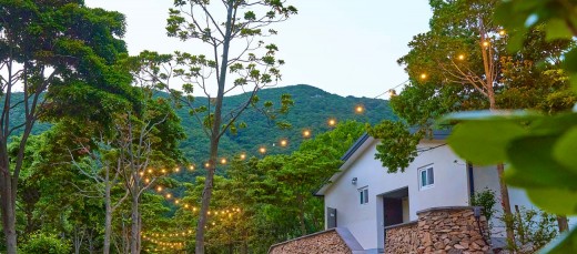 해가 지면 더 아름다운 카멜리아 힐즈