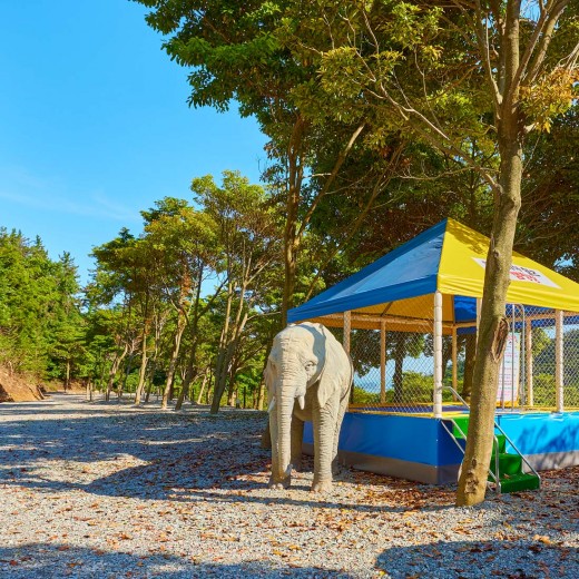 야외 놀이공간의 코끼리