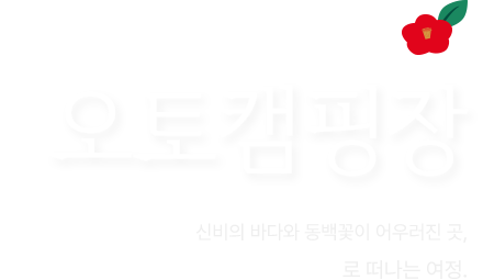 진도 카멜리아 힐즈 오토캠핑장